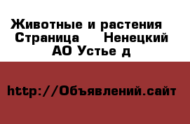  Животные и растения - Страница 2 . Ненецкий АО,Устье д.